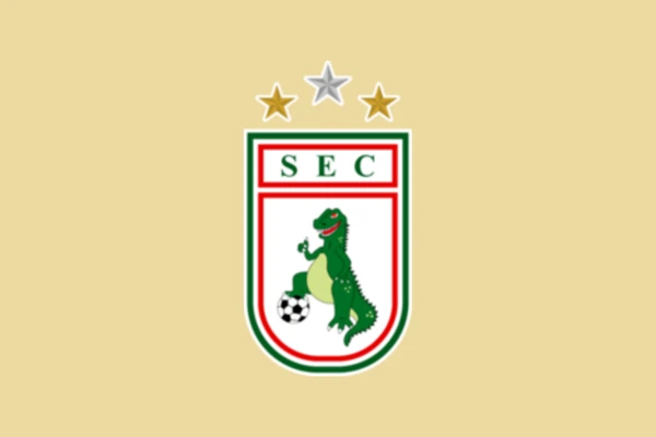 Escudo do Sousa por Reprodução
