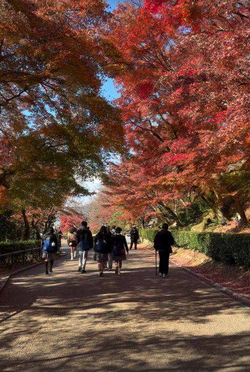 Ator e modelo estão na mesma cidade e publicaram Stories parecidos por Reprodução | Instagram