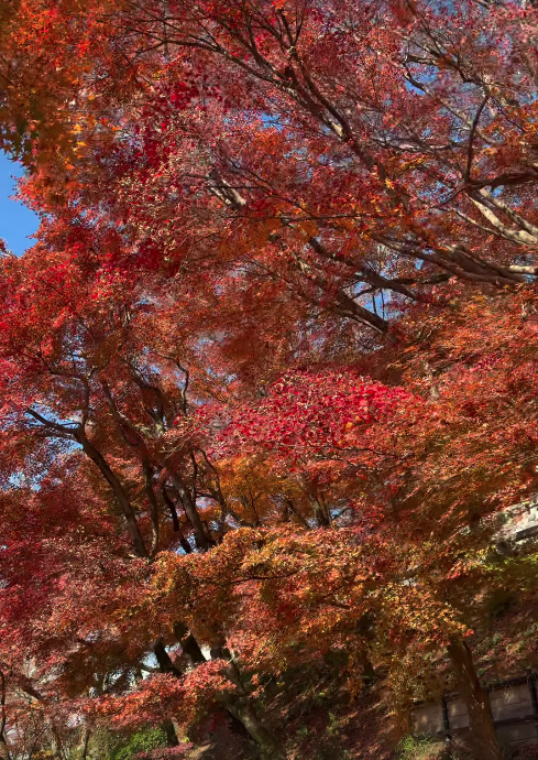 Ator e modelo estão na mesma cidade e publicaram Stories parecidos por Reprodução | Instagram