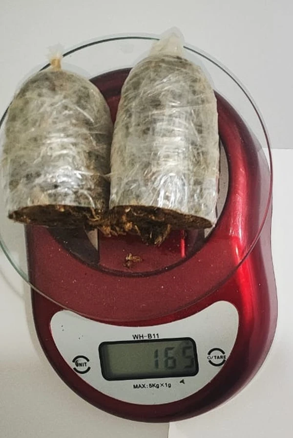 Objeto continha 165 gramas de substância análoga à maconha
