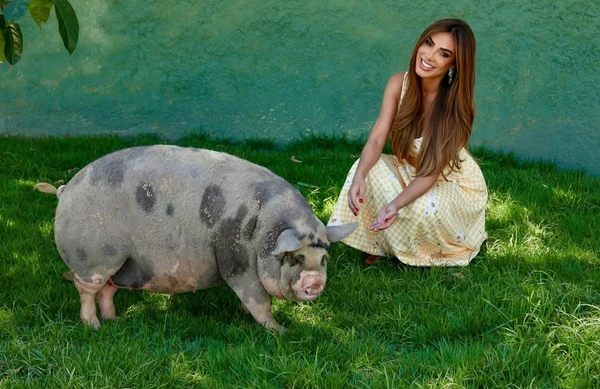  Nicole Bahls por Reprodução/Instagram