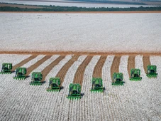 Imagem - Salvador se consolida como segundo porto para escoamento de algodão no Brasil