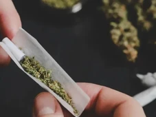 Imagem - Existe um tipo de personalidade que mais se atrai pelo uso da maconha, segundo a ciência