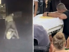 Imagem - Homem suspeito de atirar companheira do 10° andar chora em velório da vítima