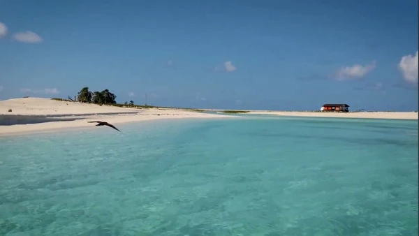 A vida que floresce nos recifes e piscinas naturais quando o oceano se acalma