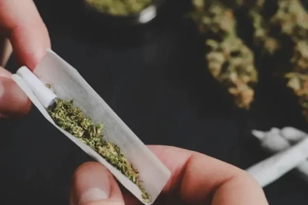 Entenda se você está mais propenso a usar maconha