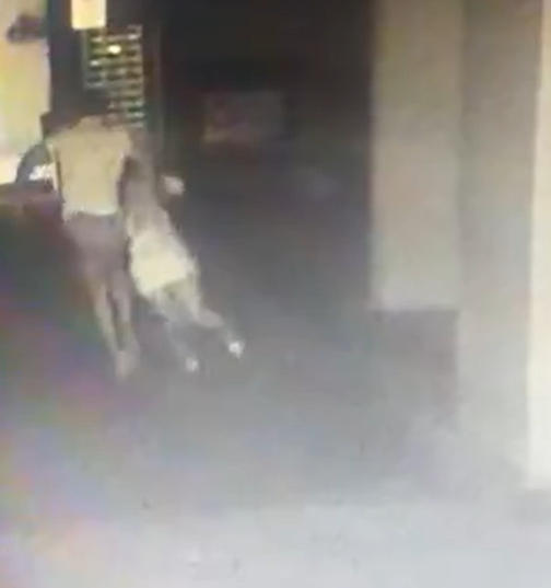 Homem suspeito de atirar mulher do 10º andar agridiu a vítima no estacionamento e no elevador por Reprodução