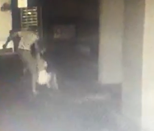 Homem suspeito de atirar mulher do 10º andar agridiu a vítima no estacionamento e no elevador por Reprodução