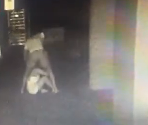 Homem suspeito de atirar mulher do 10º andar agridiu a vítima no estacionamento e no elevador por Reprodução