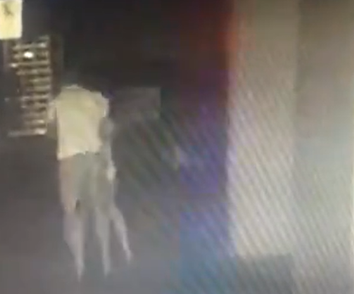 Homem suspeito de atirar mulher do 10º andar agridiu a vítima no estacionamento e no elevador por Reprodução