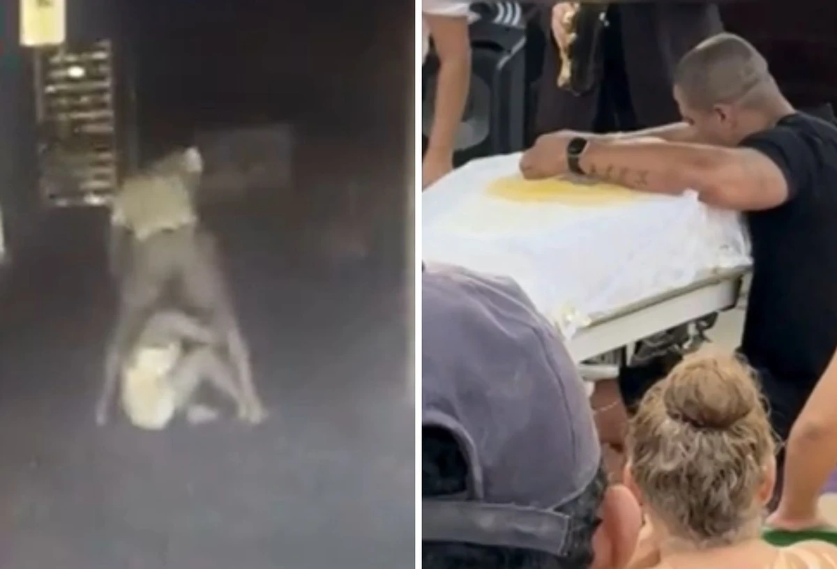 Suspeito de atirar companheira do 10° andar chorou em velório da vítima