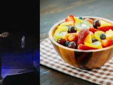 Imagem - As frutas brasileiras que Alceu Valença exaltou para todo o mundo através de música histórica