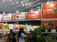 Imagem - Gastronomia, música e mais de 6 mil produtos: tudo que você vai encontrar na Feira da Agricultura Familiar