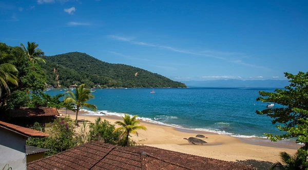 La coquille por Reprodução / Booking