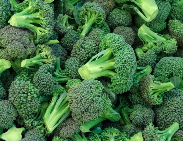 Brócolis  por Reprodução