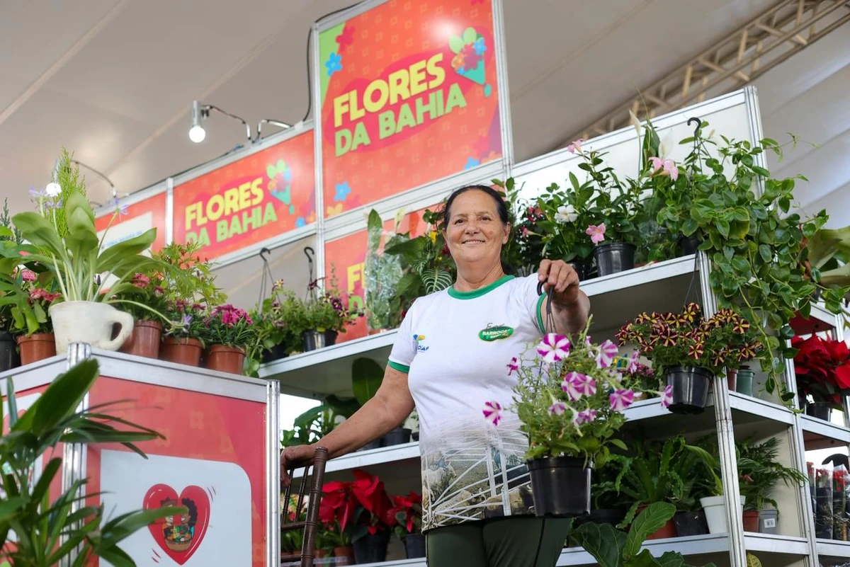 Feira da Agricultura Familiar segue até o próximo domingo (14) por Divulgação/GOV BA