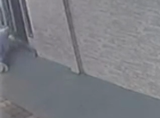 João Ferreira da Silva foi morto em frente a pousada por Reprodução