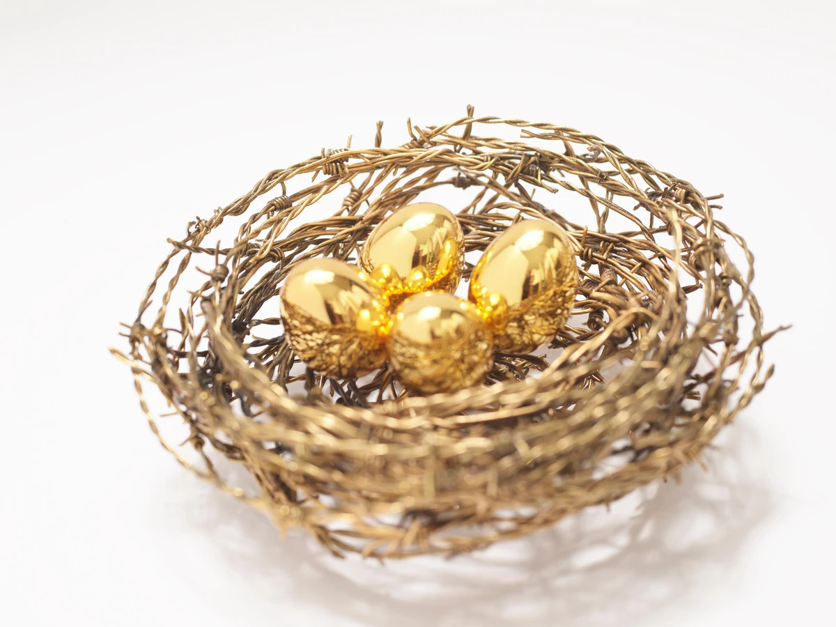 Ninho, de Vik Muniz por Reprodução/Vik Muniz