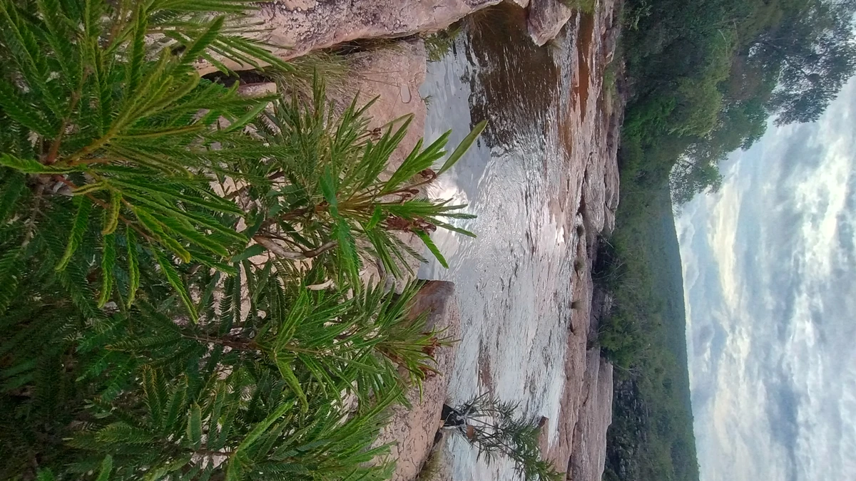 Trilha para a Cachoeira do Mosquito, que recebe este nome por conta dos pequenos diamantes que eram encontrados lá por Donaldson Gomes/CORREIO