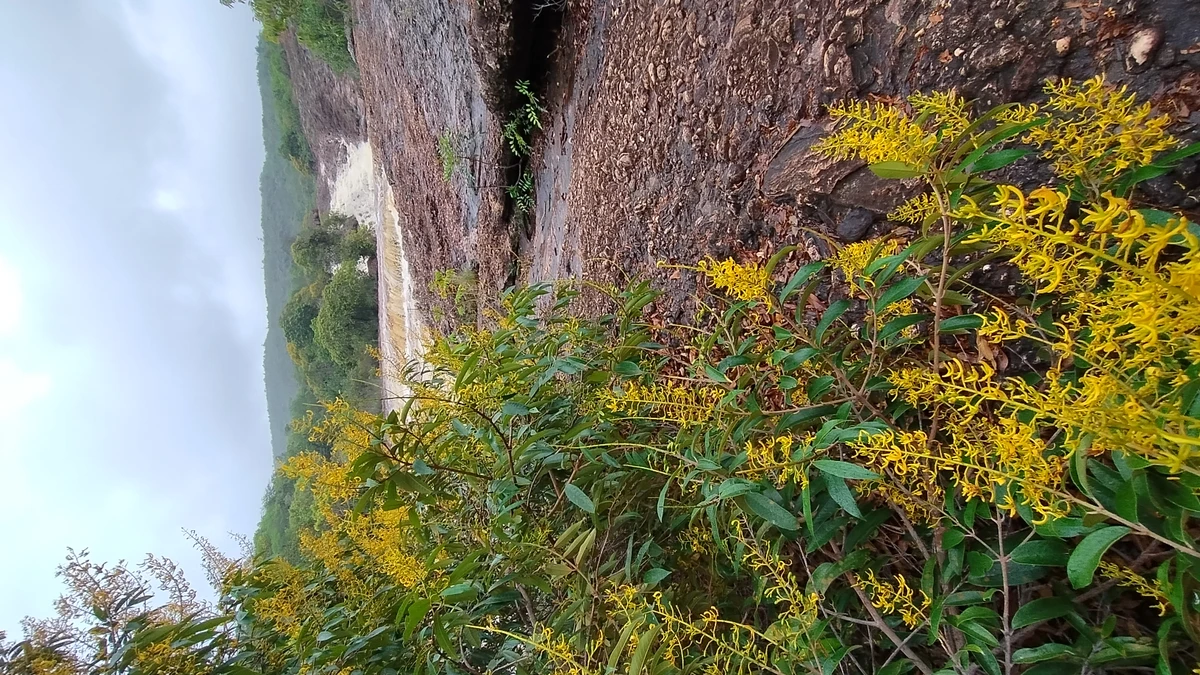 Caldeirões do Serrano no Parque Nacional da Muritiba, em Lençóis por Donaldson Gomes/CORREIO