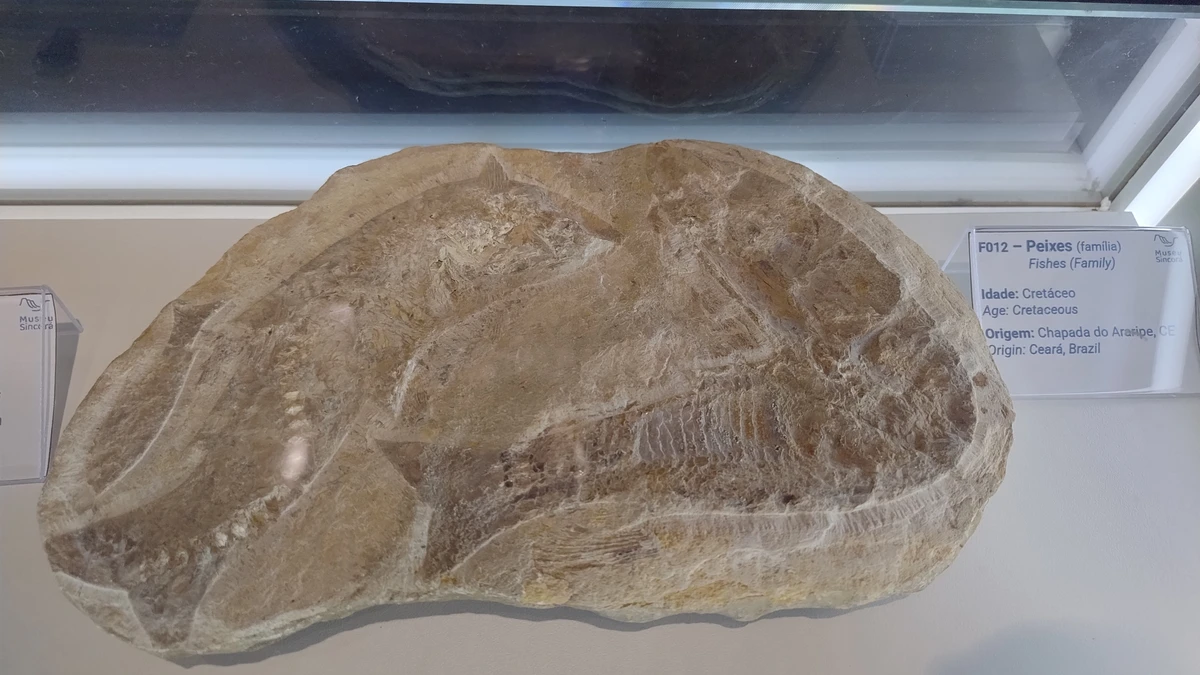 Museu do Sincorá guarda parte da memória geológica da Chapada Diamantina por Donaldson Gomes/CORREIO