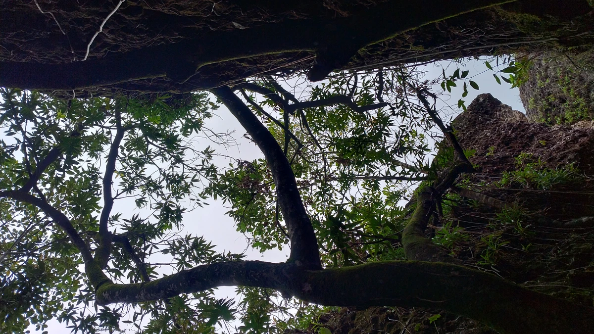  Salão de Areias Coloridas no Parque Nacional da Muritiba, em Lençóis por Donaldson Gomes/CORREIO