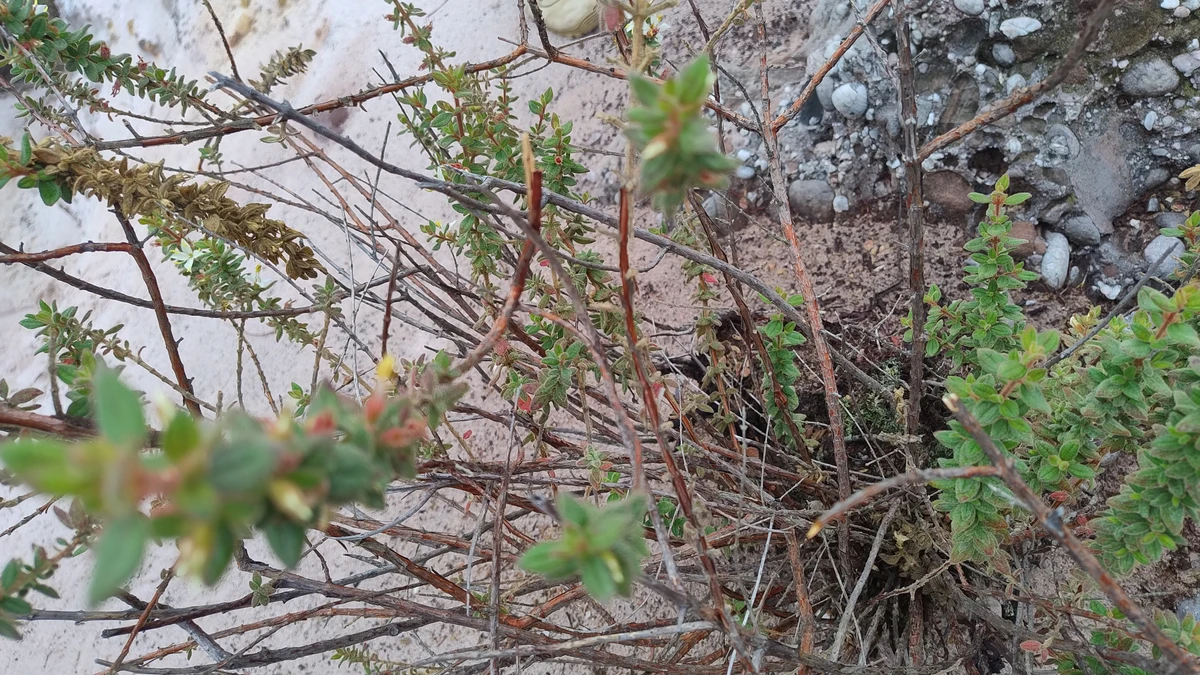  Salão de Areias Coloridas no Parque Nacional da Muritiba, em Lençóis por Donaldson Gomes/CORREIO