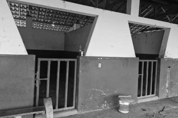 Funcionários de fazenda do dono da Brooksfield eram alojados em curral