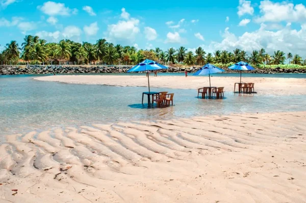 Praia de Muro Alto, em Ipojuca por Reprodução | Prefeitura de Ipojuca
