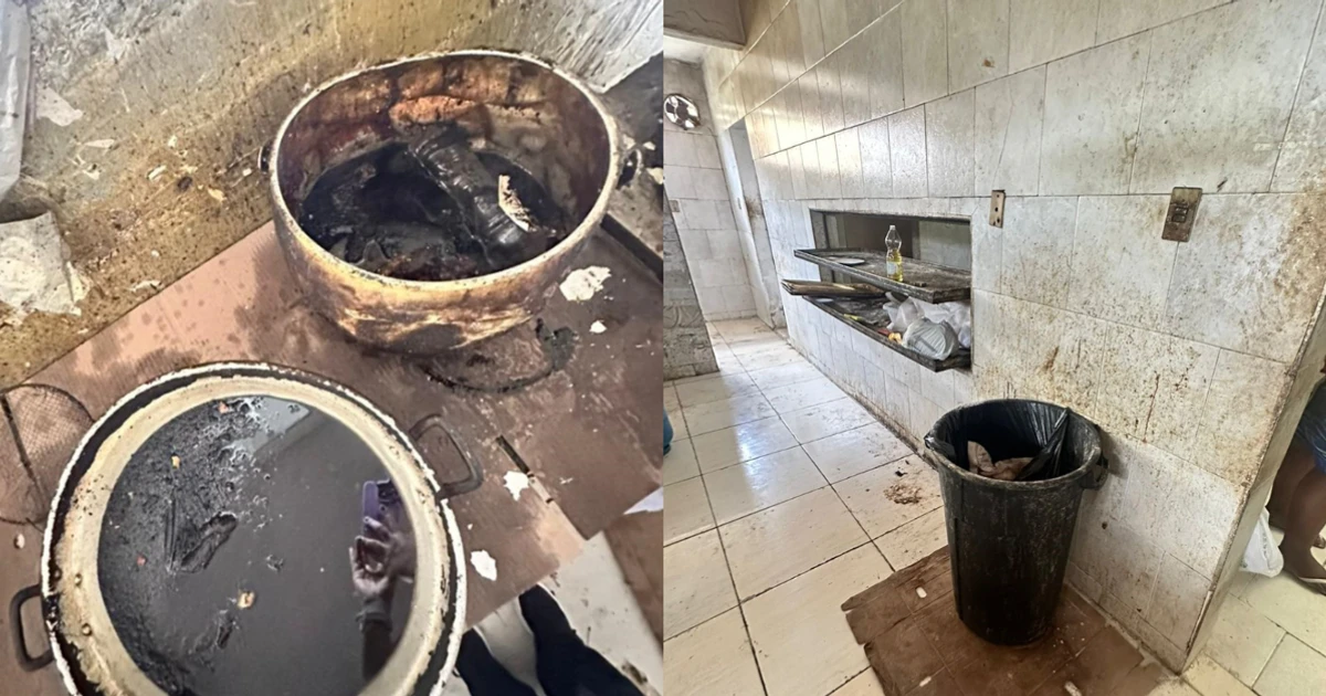 Imagem - Fiscalização encontra 'insalubridade extrema' e fecha pastelaria na Bahia