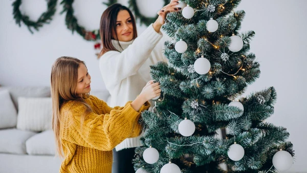 Segundo o feng shui, a posição da árvore pode reforçar a intenção de dinheiro, oportunidades e harmonia em 2026