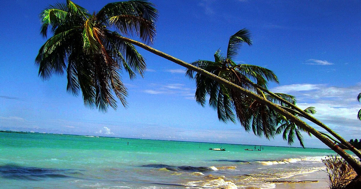 Imagem - Só dá famoso: o destino do Nordeste que virou refúgio das grandes celebridades no Réveillon