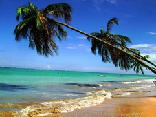 Imagem - Só dá famoso: o destino do Nordeste que virou refúgio das grandes celebridades no Réveillon