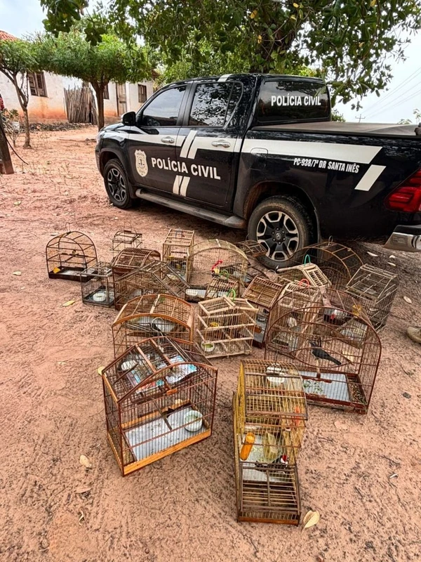 Aves foram resgatadas por Divulgação/Ascom/PCMA