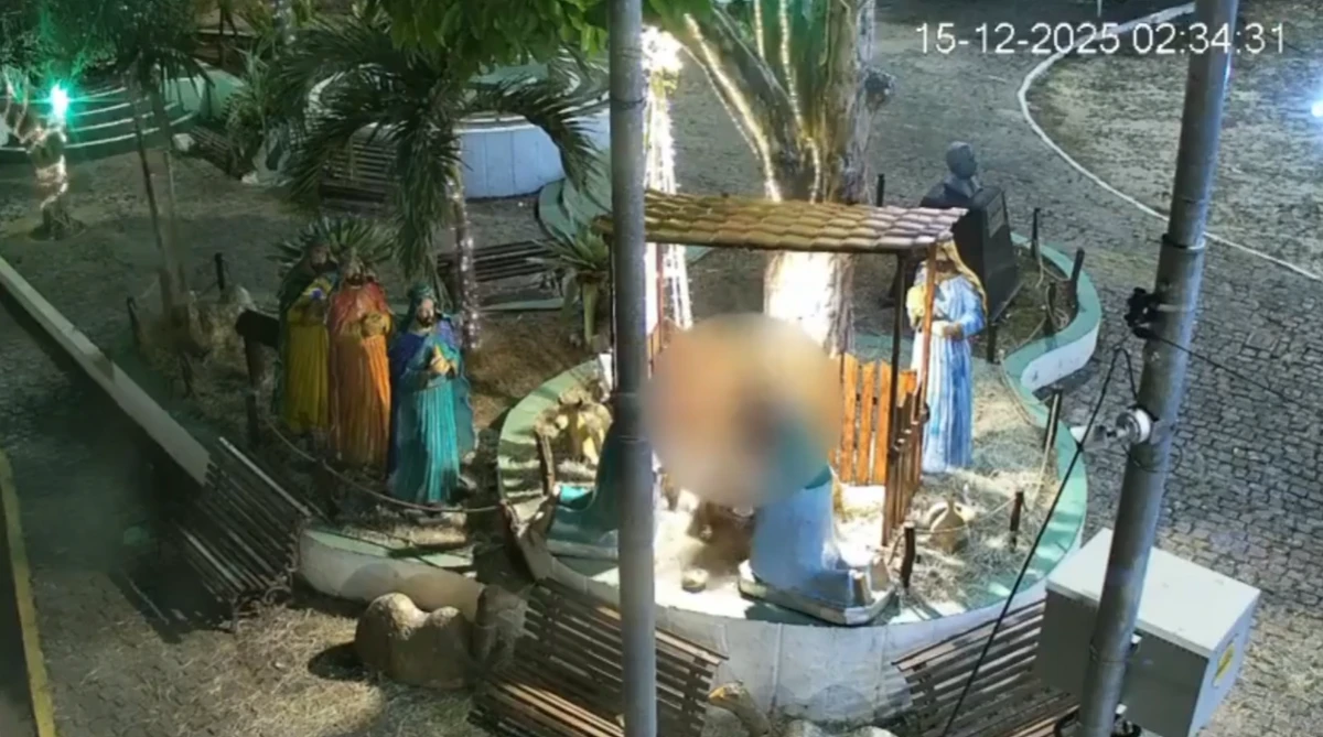 Mulher depredou presépio por Reprodução