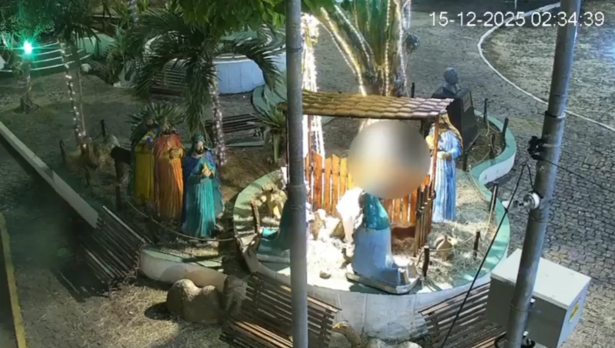 Mulher depredou presépio por Reprodução