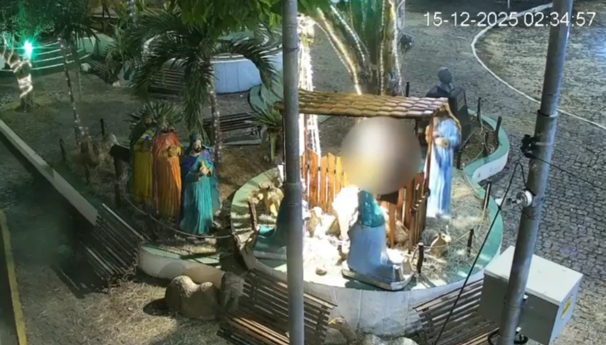Mulher depredou presépio por Reprodução