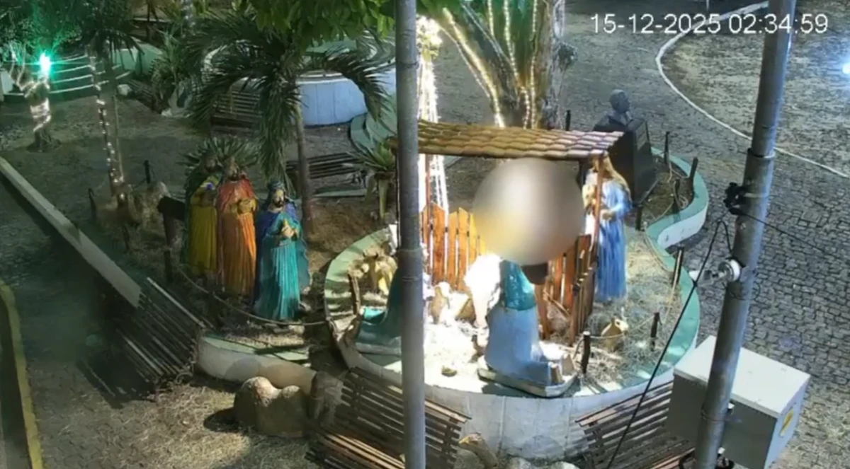 Mulher depredou presépio por Reprodução