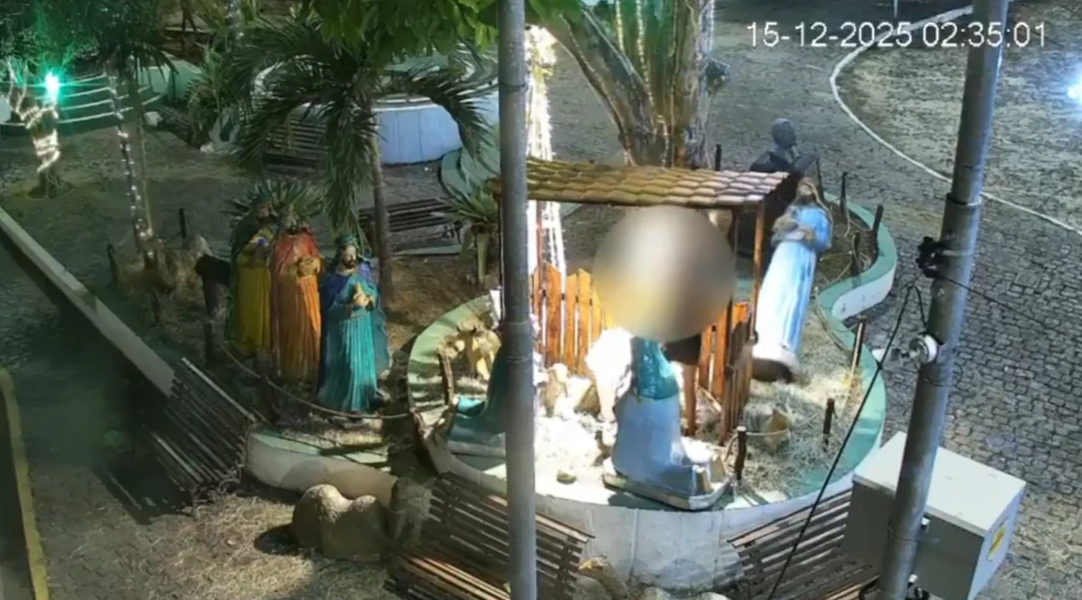 Mulher depredou presépio por Reprodução