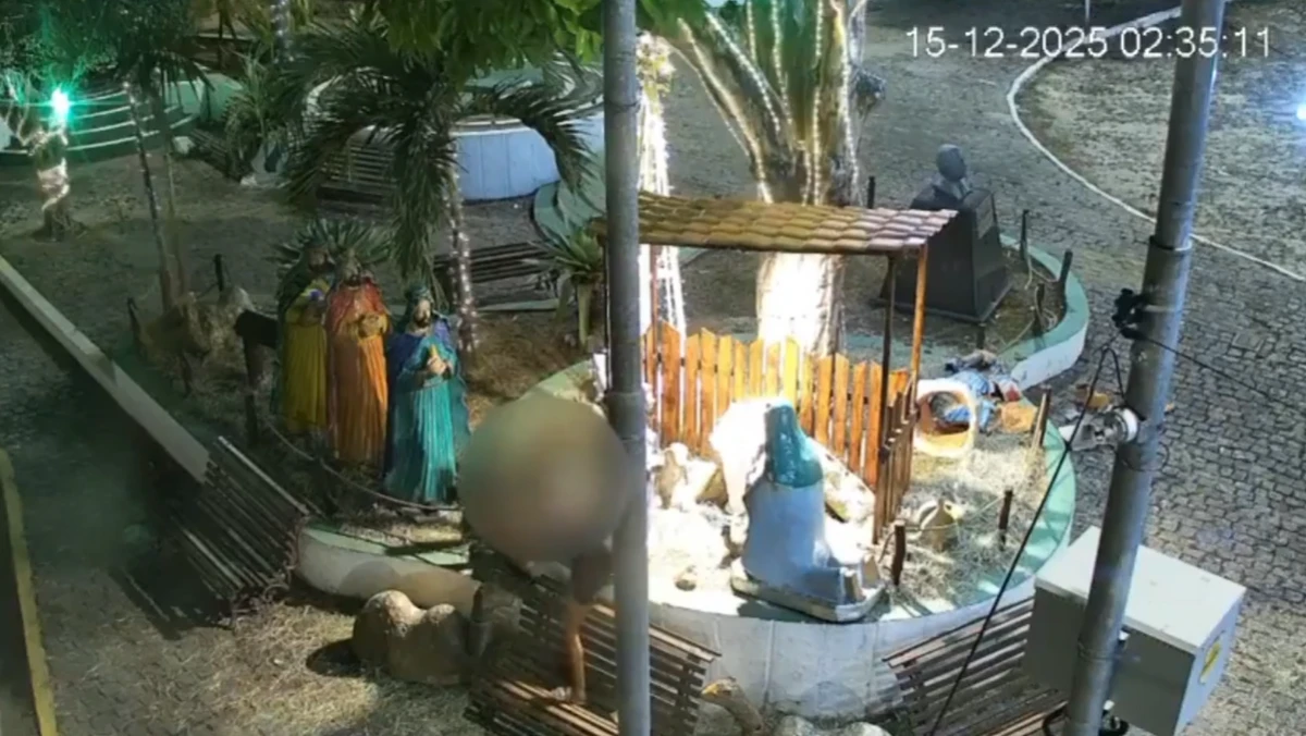 Mulher depredou presépio por Reprodução