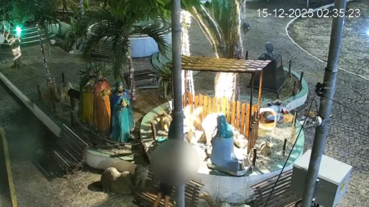 Mulher depredou presépio por Reprodução