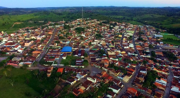Pau Brasil, na Bahia por Reprodução