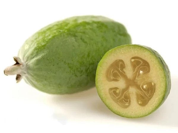 A feijoa reforça o sistema imunológico, o combate à depressão e o sistema cognitivo por HortResearch/Divulgação