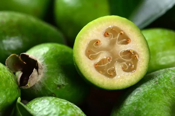 A goiaba serrana, também conhecida como feijoa, apresenta propriedades anti-inflamatórias e se destaca na gastronomia – Foto: Divulgação por Divulgação