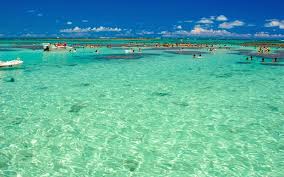 Litoral de Alagoas por Reprodução