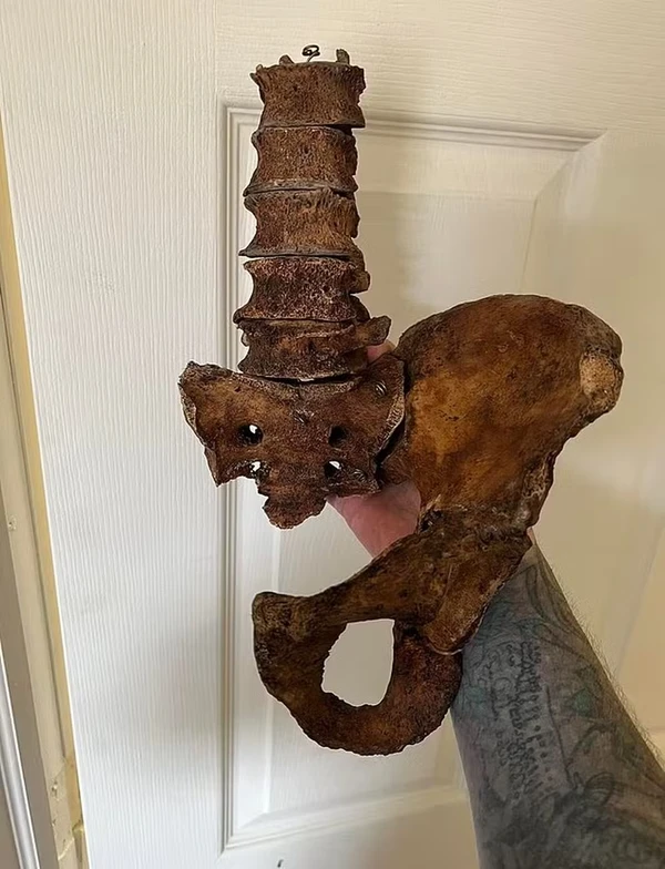 Restos mortais de Candance Scott teriam custado US$ 4.000  por Reprodução