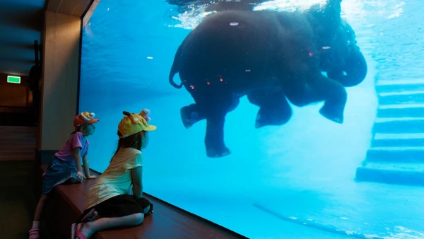 Veja um roteiro prático e local por local para salvar sua ida à praia