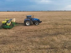 Imagem - Plantio de soja no cerrado baiano chega a 99,2% da área prevista