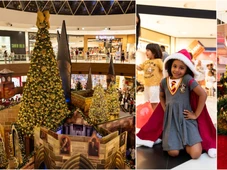 Imagem - Fãs de Harry Potter ganham programação especial em shopping de Salvador