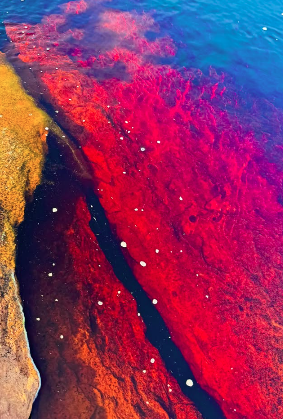 Cachoeira do Buracão – Ibicoara (BA) por Reprodução | Instagram